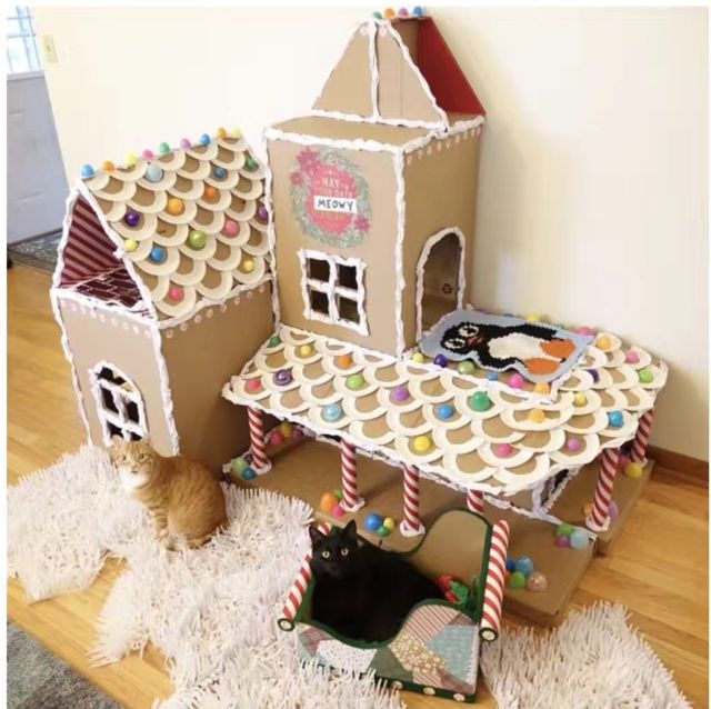 forrest观跨境43期快递纸箱猫仪式感年会